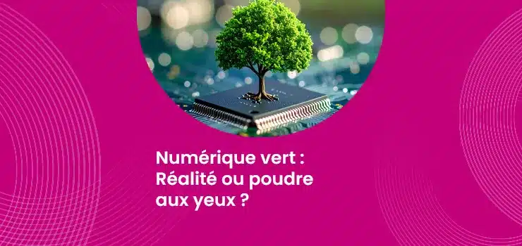 Numérique vert - Réalité ou poudre aux yeux ?_IMG_blog_skuria