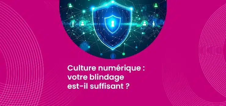 Culture numérique - votre blindage est-il suffisant ?_IMG_blog_skuria